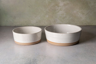 Pet Bowl